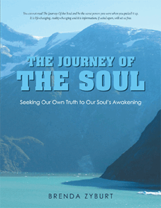 The Journey of the Soul A blue and white cover of the book " the journey of the soul ".